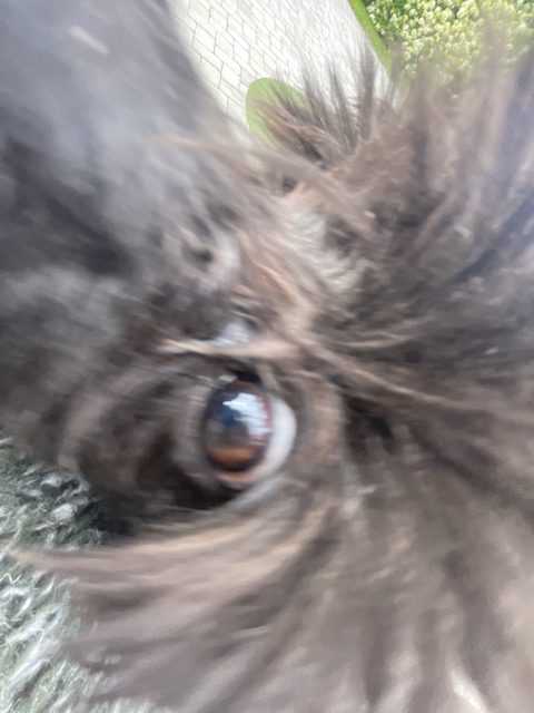 Visa bild 3 större